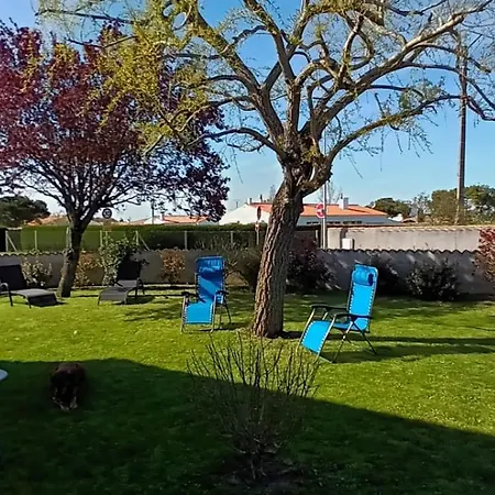 Le Saule Ile D' Oleron Saint-Pierre-d'Oleron